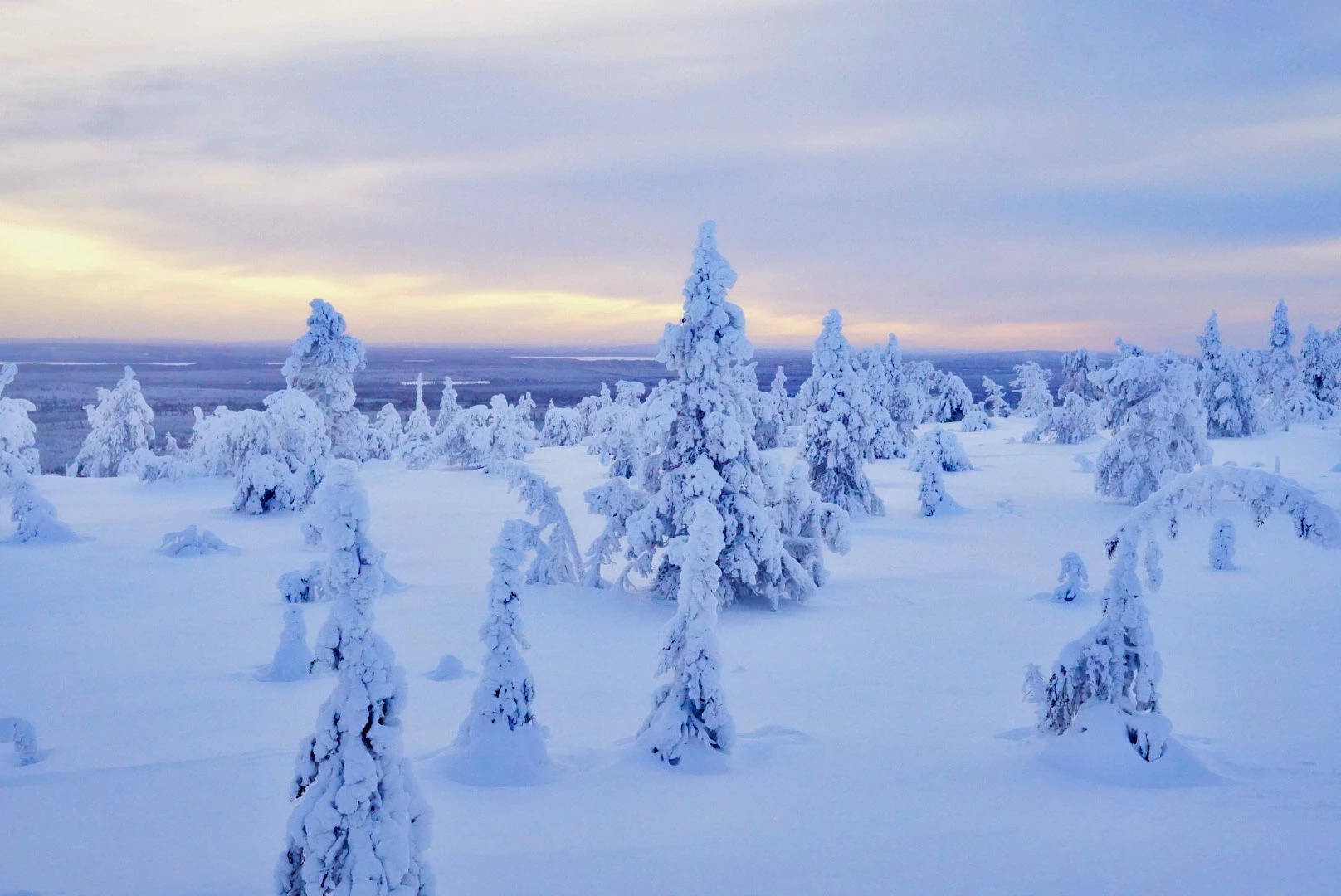 Winter wonderland